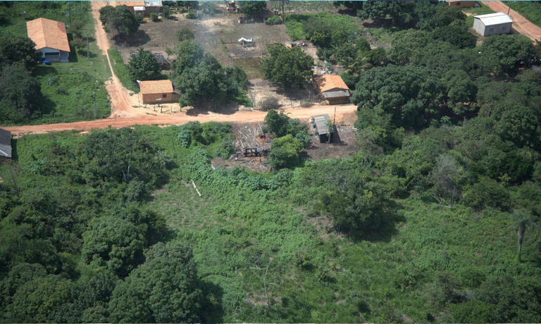 Operação Araribóia avança com respaldo legal e reforça segurança jurídica para ações em Terra Indígena Operação Araribóia avança com respaldo legal e reforça segurança jurídica para ações em Terra Indígena