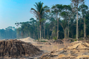 PF, ICMBio e Força Nacional combatem garimpo ilegal no Parque Nacional dos Campos Amazônicos