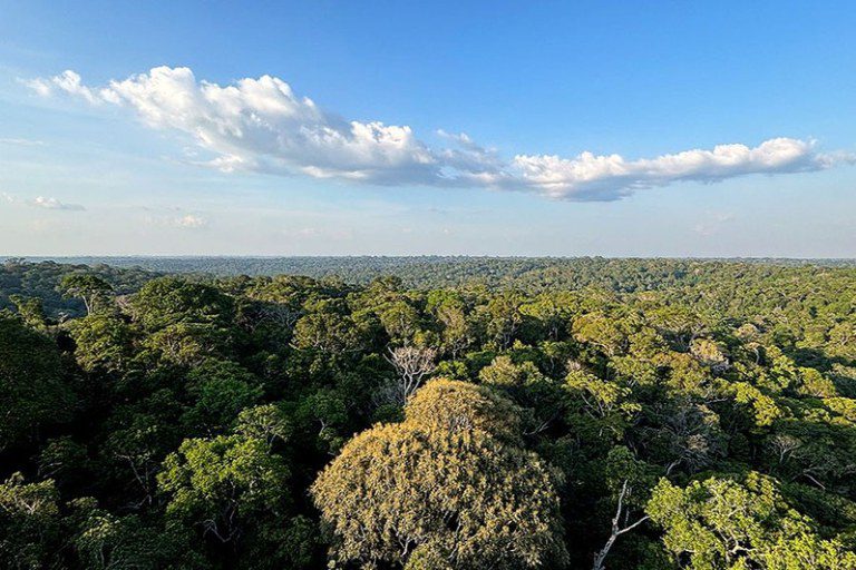 Plano Clima: Governo lança consulta pública da Estratégia Nacional de Mitigação Plano Clima: Governo lança consulta pública da Estratégia Nacional de Mitigação