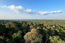 Plano Clima: Governo lança consulta pública da Estratégia Nacional de Mitigação