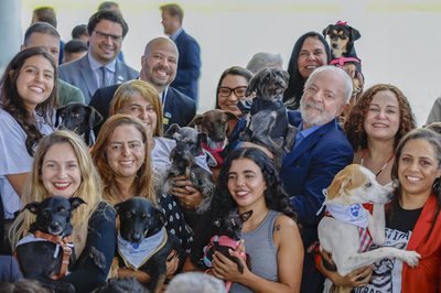 ProPatinhas e SinPatinhas são marcos na garantia do bem-estar de animais domésticos