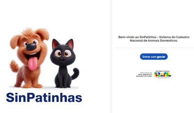 RG para cães e gatos: tire dúvidas sobre a nova ação do Governo Federal