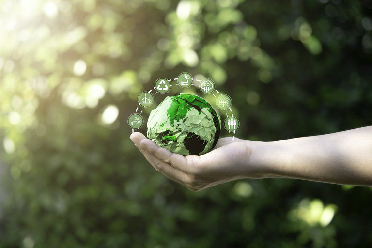 Setores alimentícios e de transformação serão produtos-pilotos do Selo Verde Setores alimentícios e de transformação serão produtos-pilotos do Selo Verde