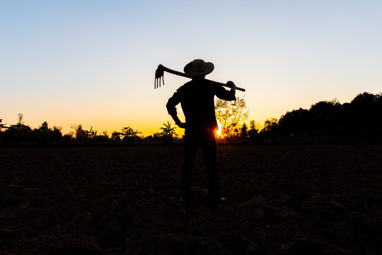 25 de maio: a história por trás das conquistas previdenciárias dos trabalhadores rurais