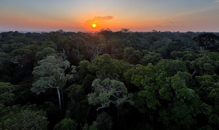 A 5ª Conferência Nacional do Meio Ambiente tem início nesta terça (6). Assista à abertura