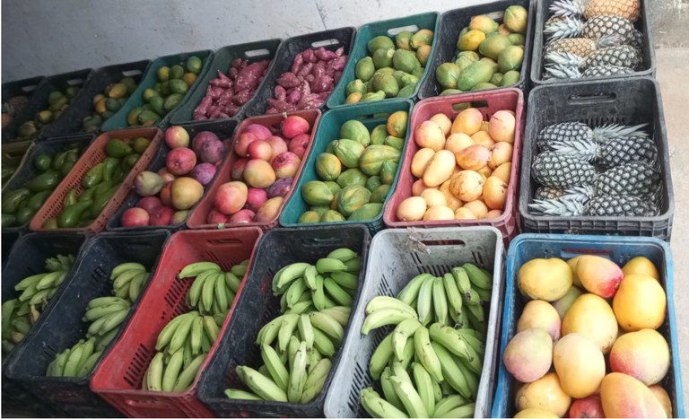 Assentamento na Paraíba comemora 30 anos com produção de 200 toneladas de alimentos por mês Assentamento na Paraíba comemora 30 anos com produção de 200 toneladas de alimentos por mês