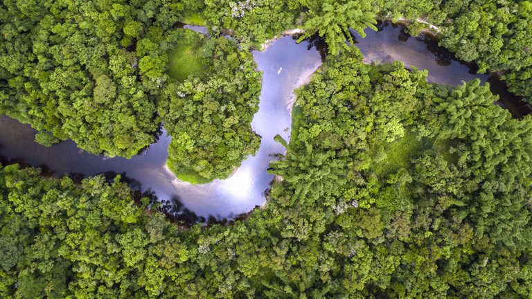 BNDES libera R$ 80 milhões do Fundo Clima para reflorestar áreas na Amazônia e Mata Atlântica BNDES libera R$ 80 milhões do Fundo Clima para reflorestar áreas na Amazônia e Mata Atlântica