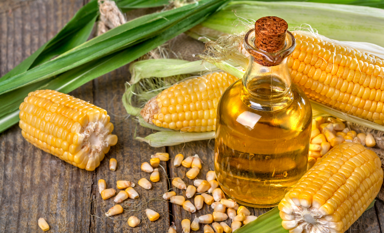 Exportações do agro registram recordes em produtos menos tradicionais Exportações do agro registram recordes em produtos menos tradicionais
