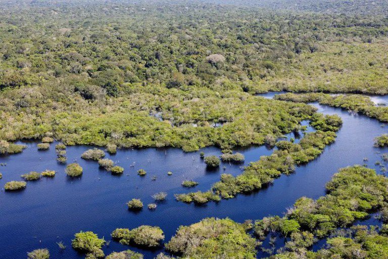 Desmatamento no Brasil caiu 32,4% em 2024. Houve redução em cinco dos seis biomas Desmatamento no Brasil caiu 32,4% em 2024. Houve redução em cinco dos seis biomas