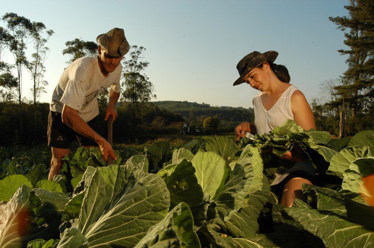Dia da Trabalhadora e do Trabalhador Rural e as políticas públicas que fortalecem o setor
