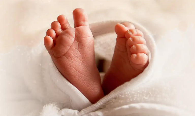 Em cenário de queda de nascimentos, cresce maternidade entre mulheres com mais de 30 Em cenário de queda de nascimentos, cresce maternidade entre mulheres com mais de 30