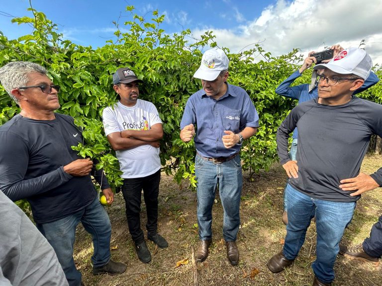 Tecnologia da Embrapa reacende esperança no cultivo do maracujá irrigado no Piauí Tecnologia da Embrapa reacende esperança no cultivo do maracujá irrigado no Piauí