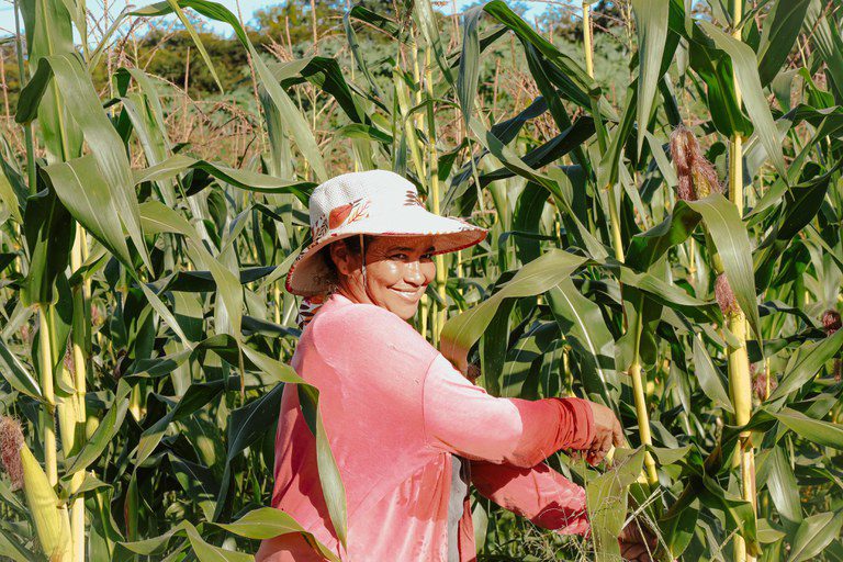 Governo abre edital para municípios interessados no Programa de Aquisição de Alimentos (PAA) Governo abre edital para municípios interessados no Programa de Aquisição de Alimentos (PAA)