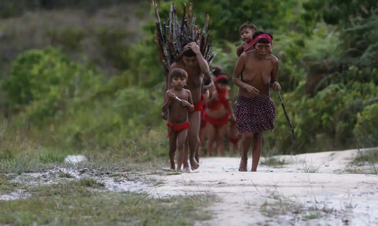 Famílias da Terra Indígena Kayapó recebem cestas de alimentos durante processo de desintrusão Famílias da Terra Indígena Kayapó recebem cestas de alimentos durante processo de desintrusão