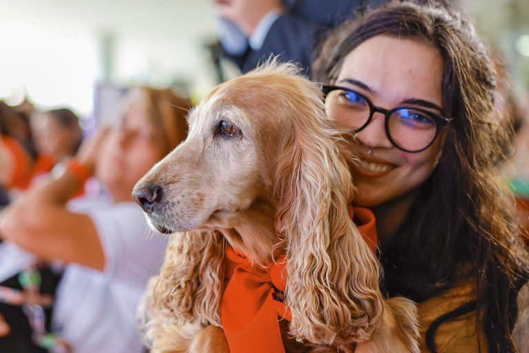 Mais de 620 mil animais já têm RG. Veja como cadastrar seu pet no SinPatinhas Mais de 620 mil animais já têm RG. Veja como cadastrar seu pet no SinPatinhas