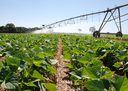 Mapa nacional mostra onde há maior potencial para agricultura no Brasil