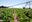 Mapa nacional mostra onde há maior potencial para agricultura no Brasil