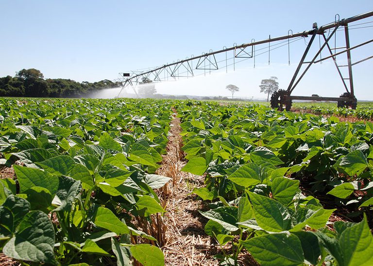 Mapa nacional mostra onde há maior potencial para agricultura no Brasil Mapa nacional mostra onde há maior potencial para agricultura no Brasil