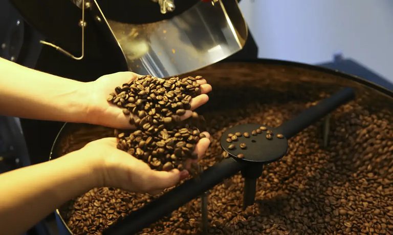 Safra de café tem estimativa de crescimento de 2,7% na comparação com ano passado Safra de café tem estimativa de crescimento de 2,7% na comparação com ano passado