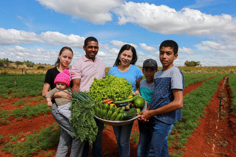 Plano Safra da Agricultura Familiar 2024-2025 encerra ciclo com mais operações e crédito Plano Safra da Agricultura Familiar 2024-2025 encerra ciclo com mais operações e crédito