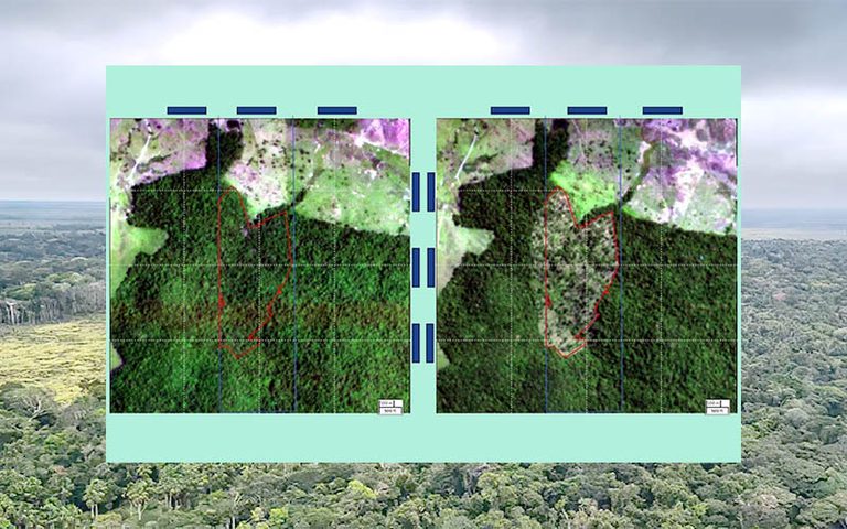 BNDES barra R$ 806 milhões em créditos que iriam a desmatadores ilegais BNDES barra R$ 806 milhões em créditos que iriam a desmatadores ilegais