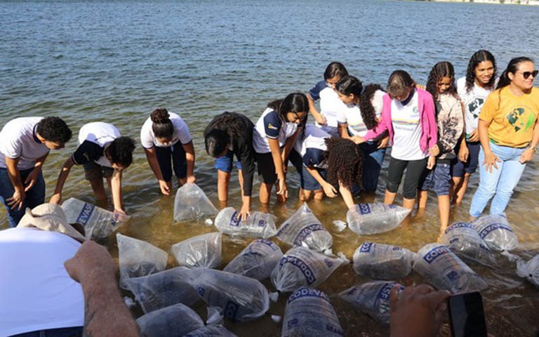 Codevasf celebra com ações de preservação no São Francisco, em Petrolina Codevasf celebra com ações de preservação no São Francisco, em Petrolina