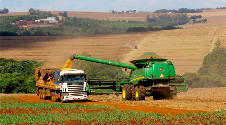 Estimativa de maio aponta safra de grãos recorde em 2025 Estimativa de maio aponta safra de grãos recorde em 2025