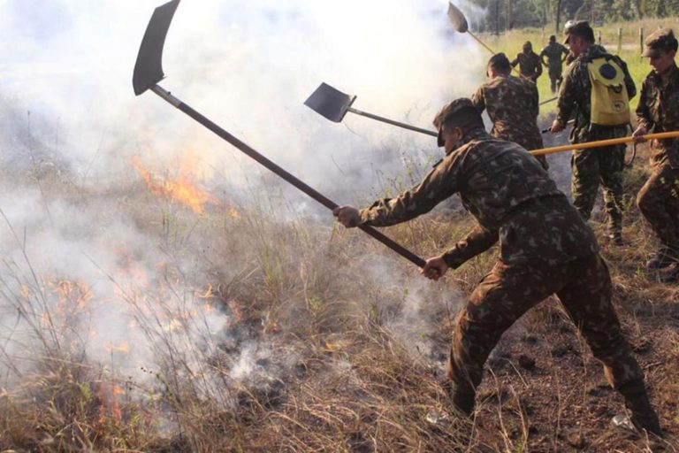 Exército reforça compromisso ambiental no Dia Mundial do Meio Ambiente