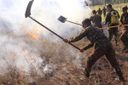 Exército reforça compromisso ambiental no Dia Mundial do Meio Ambiente