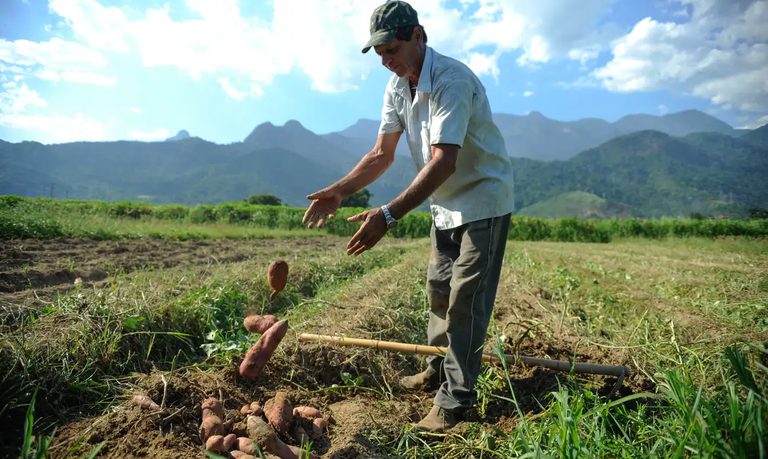 Governo Federal cria o Programa de Projetos Sustentáveis na Agropecuária Governo Federal cria o Programa de Projetos Sustentáveis na Agropecuária