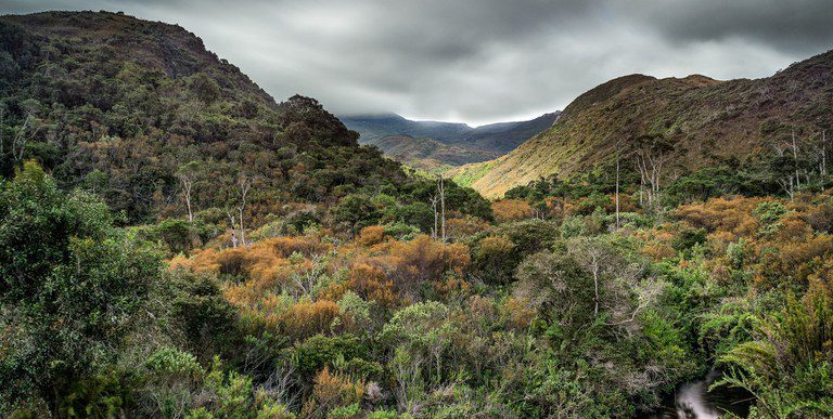 Governo federal institui seis Reservas Particulares do Patrimônio Natural Governo federal institui seis Reservas Particulares do Patrimônio Natural