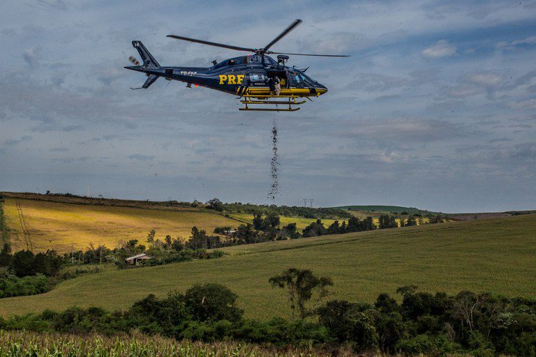 PRF lança 10 toneladas de sementes para reflorestar Mata Atlântica no PR PRF lança 10 toneladas de sementes para reflorestar Mata Atlântica no PR