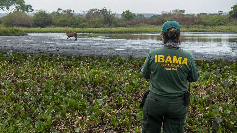 Ibama pode agir no combate a dano ambiental se estados forem omissos Ibama pode agir no combate a dano ambiental se estados forem omissos