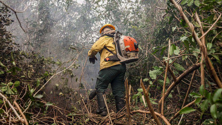 Justiça bloqueia bens de fazendeiros que degradaram áreas no Pantanal Justiça bloqueia bens de fazendeiros que degradaram áreas no Pantanal