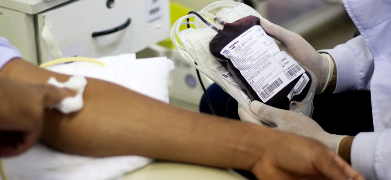 Ministério da Saúde lança campanha para incentivar doação regular de sangue Ministério da Saúde lança campanha para incentivar doação regular de sangue