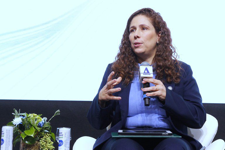 Esther Dweck reforça papel estratégico do Estado nos investimentos em infraestrutura Esther Dweck reforça papel estratégico do Estado nos investimentos em infraestrutura