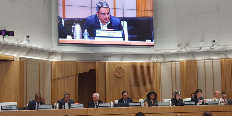 MMA apresenta políticas de prevenção e combate a incêndios florestais em evento da FAO em Roma MMA apresenta políticas de prevenção e combate a incêndios florestais em evento da FAO em Roma