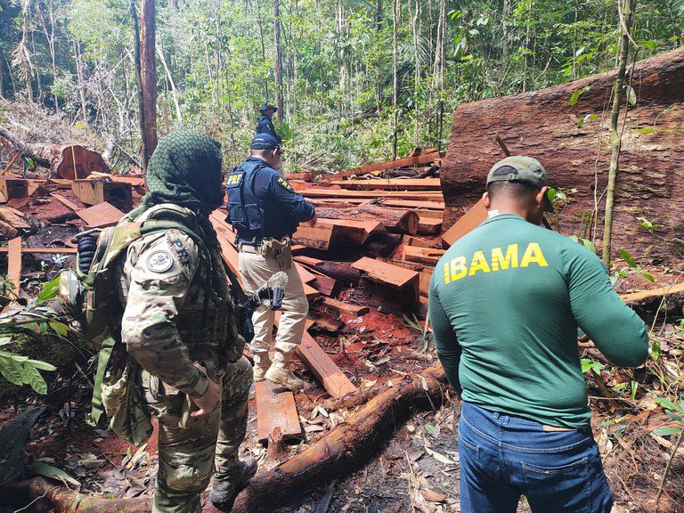 No Dia Mundial do Meio Ambiente, PRF divulga resultados da prevenção e do combate aos crimes ambientais No Dia Mundial do Meio Ambiente, PRF divulga resultados da prevenção e do combate aos crimes ambientais