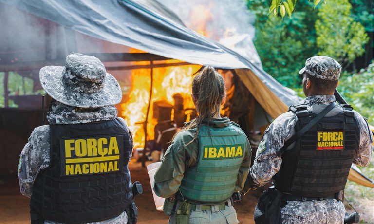 Operação federal impõe prejuízo de R$ 79 milhões ao garimpo ilegal na Terra Indígena Kayapó Operação federal impõe prejuízo de R$ 79 milhões ao garimpo ilegal na Terra Indígena Kayapó