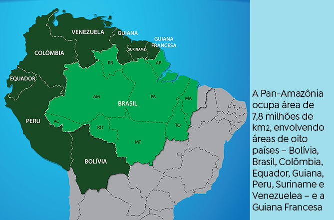 pan amazonia.jpg