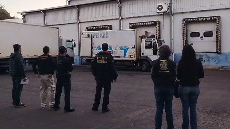 PF combate comércio ilegal de pescados em sete estados brasileiros PF combate comércio ilegal de pescados em sete estados brasileiros