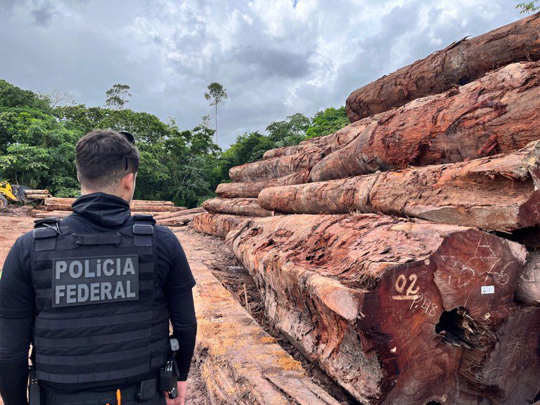 PF deflagra operação contra desmate ilegal em unidade de conservação no Amapá PF deflagra operação contra desmate ilegal em unidade de conservação no Amapá