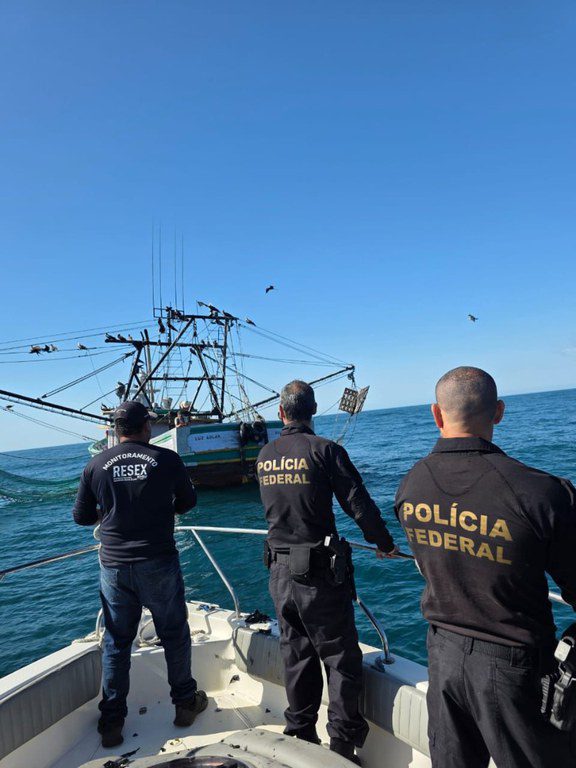PF e ICMbio deflagram operação para proteger corredor migratório de baleias PF e ICMbio deflagram operação para proteger corredor migratório de baleias
