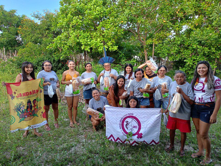 Projeto Jandaíras: mulheres e saberes tradicionais transformam sociobiodiversidade nordestina Projeto Jandaíras: mulheres e saberes tradicionais transformam sociobiodiversidade nordestina