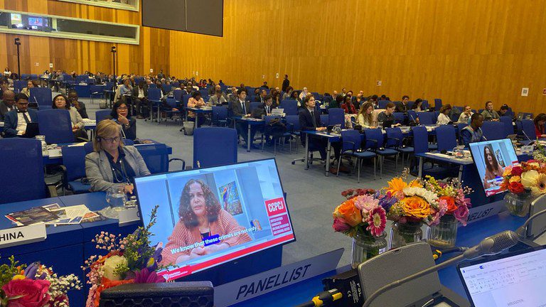 Proposta do Brasil para combater crimes ambientais é aprovada pela ONU Proposta do Brasil para combater crimes ambientais é aprovada pela ONU