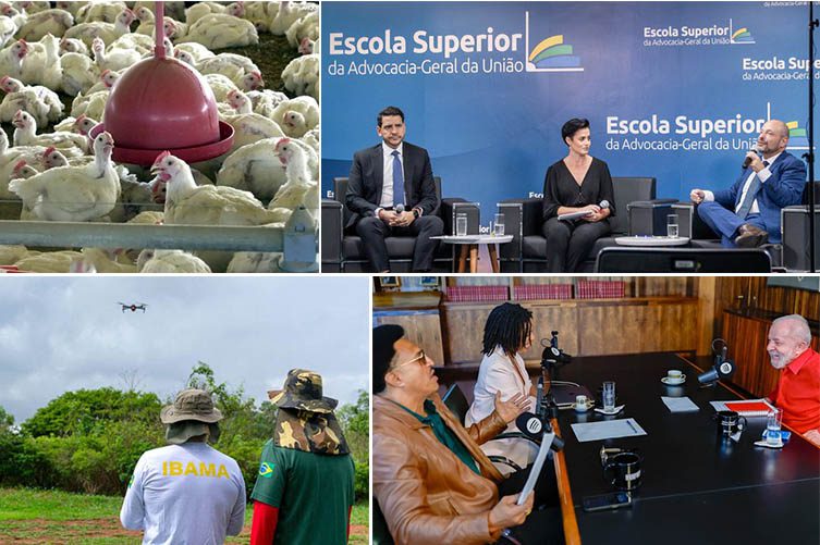 Semana de preços em baixa, Fundo Amazônia em alta e respostas aos aposentados Semana de preços em baixa, Fundo Amazônia em alta e respostas aos aposentados