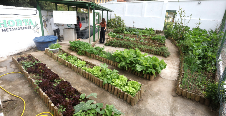 Tecnologia brasileira será levada à COP30 pelo Projeto Cozinhas Solidárias Sustentáveis Tecnologia brasileira será levada à COP30 pelo Projeto Cozinhas Solidárias Sustentáveis