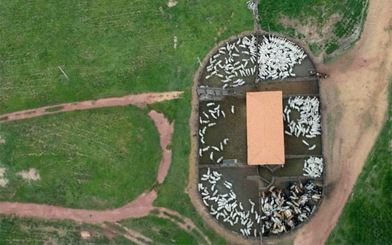 Tecnologias da Embrapa são indicadas para combate à fome e mudanças climáticas Tecnologias da Embrapa são indicadas para combate à fome e mudanças climáticas