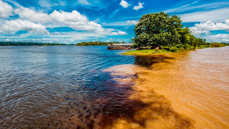 Vitrines do turismo no Norte do Brasil, Pará e Amazonas registram aumento de visitantes internacionais Vitrines do turismo no Norte do Brasil, Pará e Amazonas registram aumento de visitantes internacionais