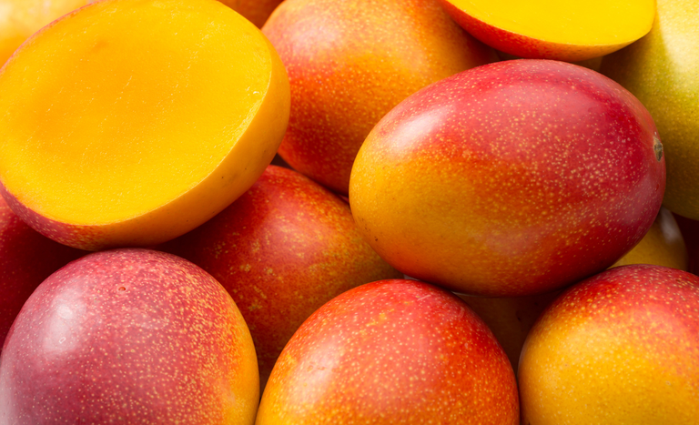 No dia mundial da fruta, Brasil festeja a manga, campeã das exportações No dia mundial da fruta, Brasil festeja a manga, campeã das exportações